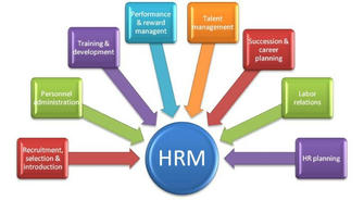 Human Resource Management Skills Training: Enhancing Recruitment and Selection Efficiency