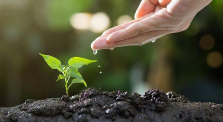 Discovering Your Passion: How To Turn Your Interests Into A Fulfilling Hobby